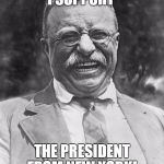 Teddy Roosevelt | I SUPPORT; THE PRESIDENT FROM NEW YORK! | image tagged in teddy roosevelt | made w/ Imgflip meme maker