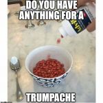 Trump gives me a headache  | DO YOU HAVE ANYTHING FOR A; TRUMPACHE | image tagged in headache,donald trump,trump,potus,hurting | made w/ Imgflip meme maker