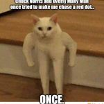 Buff Half Cat | Chuck Norris and Overly Many Man once tried to make me chase a red dot... ONCE. | image tagged in buff half cat | made w/ Imgflip meme maker