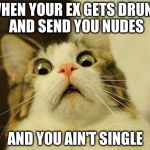 surprised cat | WHEN YOUR EX GETS DRUNK AND SEND YOU NUDES; AND YOU AIN'T SINGLE | image tagged in surprised cat | made w/ Imgflip meme maker