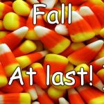 Thirty-nine days till Halloween, ninety-five days 'til Christmas.  (Lest you forget...) | Fall; ( At last! ) | image tagged in sweets for the sweet,fall,holloween,psa | made w/ Imgflip meme maker