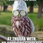 relax owl | TEACHERS IN THE SUMMER BE LIKE; AT THE SPA WITH NO ANNOYING STUDENTS TO WORRY ABOUT | image tagged in relax owl | made w/ Imgflip meme maker