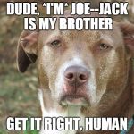 unamused dog | DUDE, *I'M* JOE--JACK IS MY BROTHER; GET IT RIGHT, HUMAN | image tagged in unamused dog | made w/ Imgflip meme maker