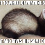 Unknown the Chaos Ferret | BROUGHT TO WHEEL OF FORTUNE BY VANNA; BITES PAT AND GIVES HIM SOME DISEASE!!! | image tagged in unknown the chaos ferret | made w/ Imgflip meme maker