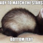 Unknown the Chaos Ferret | GET READY TO MATCH THE STARS!!!!!!!!!! BOTTOM TEXT | image tagged in unknown the chaos ferret | made w/ Imgflip meme maker