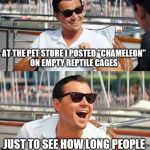 Leonardo Dicaprio Wolf Of Wall Street | AT THE PET STORE I POSTED "CHAMELEON" ON EMPTY REPTILE CAGES; JUST TO SEE HOW LONG PEOPLE WOULD STAND AND LOOK | image tagged in memes,leonardo dicaprio wolf of wall street | made w/ Imgflip meme maker