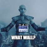 Knight King coming | WHAT WALL? | image tagged in knight king coming | made w/ Imgflip meme maker