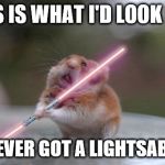 Star Wars hamster | THIS IS WHAT I'D LOOK LIKE; IS I EVER GOT A LIGHTSABER... | image tagged in star wars hamster | made w/ Imgflip meme maker
