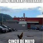 KFC Chicken | HOW CHICKENS CELEBRATE; CINCO DE MAYO | image tagged in kfc chicken | made w/ Imgflip meme maker