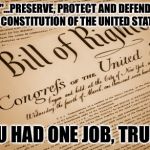 Constitution  | "...PRESERVE, PROTECT AND DEFEND THE CONSTITUTION OF THE UNITED STATES."; YOU HAD ONE JOB, TRUMP | image tagged in constitution | made w/ Imgflip meme maker