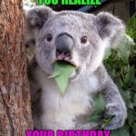 WOOOOO! CAN'T WAIT!!! BIRTHDAY ALMOST HERE! | THE MOMENT YOU REALIZE; YOUR BIRTHDAY IS TOMORROW | image tagged in shocked koala,birthday,9/26 | made w/ Imgflip meme maker