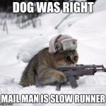 Cute Sad Soviet War Kitten | DOG WAS RIGHT; MAIL MAN IS SLOW RUNNER | image tagged in cute sad soviet war kitten | made w/ Imgflip meme maker