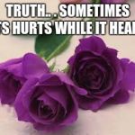 Purple roses | TRUTH.. . SOMETIMES ITS HURTS WHILE IT HEALS | image tagged in purple roses | made w/ Imgflip meme maker