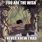 Snow White well | YOU ARE THE WISH; I NEVER KNEW I HAD. | image tagged in snow white well | made w/ Imgflip meme maker