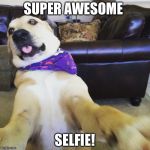 Funny dog meme | SUPER AWESOME; SELFIE! | image tagged in funny dog meme | made w/ Imgflip meme maker