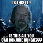 Theoden  | IS THIS IT? IS THIS ALL YOU CAN CONJURE BUNGIE??? | image tagged in theoden | made w/ Imgflip meme maker