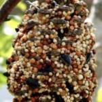 Peanut butter pinecone