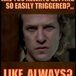 Buffalo Bill, Are you serious?,,, | ARE YOU ALWAYS GETTING   SO EASILY TRIGGERED?,,, LIKE, ALWAYS? | image tagged in buffalo bill are you serious?   | made w/ Imgflip meme maker