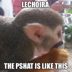 Monkey explainer | LECHOIRA, THE PSHAT IS LIKE THIS | image tagged in monkey explainer | made w/ Imgflip meme maker