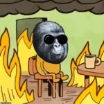 No offense, but Trump supporters be like... | DESCRIPTIVE MEME: BLIND GORILLA WITH WALKING STICK SITTING ON A CHAIR IN BURNING HOUSE | image tagged in jimmies on fire,memes,trump supporters | made w/ Imgflip meme maker
