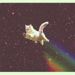 Nyan Cat Real meme