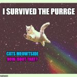 When the Hammer Falls | I SURVIVED THE PURRGE; CATS MEOWTSIDE; HOW 'BOUT THAT? | image tagged in nyan cat real,purge,group,friend list,member,ban hammer | made w/ Imgflip meme maker