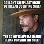 Will Be Blood | COULDN'T SLEEP LAST NIGHT SO I BEGAN COUNTING SHEEP; THE COYOTES APPEARED AND BEGAN CHASING THE SHEEP | image tagged in will be blood | made w/ Imgflip meme maker