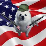 Gabe the merica