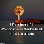 Feeling gratitude and not expressing it is like wrapping a present and not giving it. | Life is beautiful; When you have a thankful heart. Practice gratitude. | image tagged in feeling gratitude and not expressing it is like wrapping a prese | made w/ Imgflip meme maker