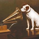 Masters voice