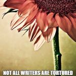Strong by Necessity, Sweet by nature | NOT ALL WRITERS ARE TORTURED SOULS, BUT THEY HAVE THE POWER TO TORTURE OTHER SOULS WITH THEIR WORDS ALONE. | image tagged in strong by necessity sweet by nature | made w/ Imgflip meme maker