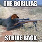Gorilla Warfare | THE GORILLAS; STRIKE BACK | image tagged in gorilla warfare,scumbag | made w/ Imgflip meme maker