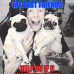 DanTDM and the pugs | I AM HERE WITH MY BEST FRIENDS; HELP US IF U WATCHING THIS | image tagged in dantdm and the pugs | made w/ Imgflip meme maker