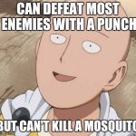 Saitama | CAN DEFEAT MOST ENEMIES WITH A PUNCH; BUT CAN'T KILL A MOSQUITO | image tagged in saitama | made w/ Imgflip meme maker