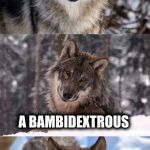 Bad Pun Wolf | WHAT DO YOU CALL A WOLF THAT CAN TAKE DOWN A DEER FROM EITHER FLANK; A BAMBIDEXTROUS | image tagged in bad pun wolf,memes,bad puns,custom template | made w/ Imgflip meme maker
