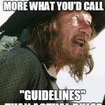 barbosa pirate | THE FLAG CODE IS MORE WHAT YOU'D CALL; "GUIDELINES" THAN ACTUAL RULES | image tagged in barbosa pirate | made w/ Imgflip meme maker