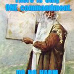moses | There  is  only  ONE  commandment. DO  NO  HARM | image tagged in moses | made w/ Imgflip meme maker