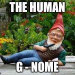 Gnomes | THE HUMAN; G - NOME | image tagged in gnomes | made w/ Imgflip meme maker