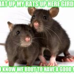 Rats | WHAT UP MY RATS UP HERE GIRDING; YOU KNOW WE BOUT TO HAVE A GOOD MILL | image tagged in rats | made w/ Imgflip meme maker