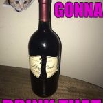 I liked it so much, I bought the winery. | ARE YA GONNA; DRINK THAT | image tagged in jessica wine,new template,ceiling cat | made w/ Imgflip meme maker