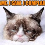 Grumpy cat snow | I CAME, I SAW, I COMPLAINED | image tagged in grumpy cat snow,memes,funny,jokes,complaining,whine | made w/ Imgflip meme maker