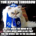 Jew Cat | YOM KIPPUR TOMORROW; PRETTY MUCH THE MOOD OF ALL US JEWS RIGHT NOW AS WE PREP FOR THE WORST DAY IN THE CALENDAR | image tagged in jew cat | made w/ Imgflip meme maker