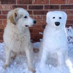 happy birthday great pyrenees