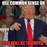 Idiot Trump | USE COMMON SENSE OR; YOU WILL BE TRUMPED | image tagged in idiot trump | made w/ Imgflip meme maker