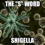 Bacteria | THE "S" WORD; SHIGELLA | image tagged in bacteria | made w/ Imgflip meme maker