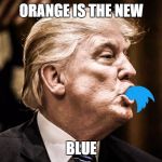 Trump Twitter | ORANGE IS THE NEW; BLUE | image tagged in trump twitter | made w/ Imgflip meme maker