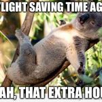 Koalaty | DAYLIGHT SAVING TIME AGAIN; YEAH, THAT EXTRA HOUR | image tagged in koalaty | made w/ Imgflip meme maker