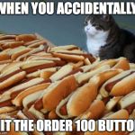 Hot dog cat | WHEN YOU ACCIDENTALLY; HIT THE ORDER 100 BUTTON | image tagged in hot dog cat | made w/ Imgflip meme maker