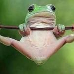 frog legs spread meme