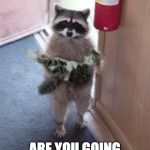 Cat Burglar Raccoon | 'SCUSE ME; ARE YOU GOING TO EAT THIS? | image tagged in cat burglar raccoon | made w/ Imgflip meme maker